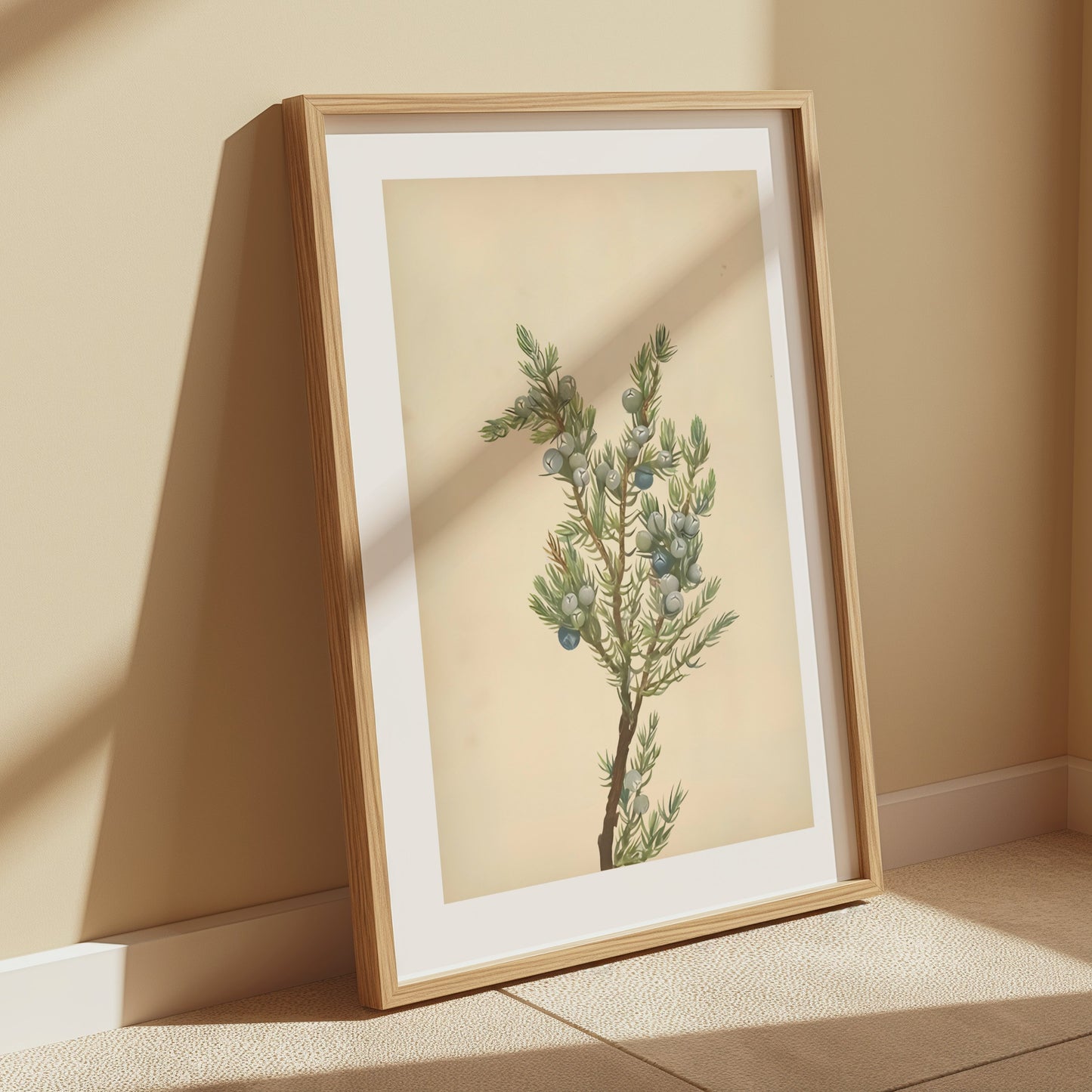 Premium Poster of Botanical Juniper Illustration Wall Art Posters