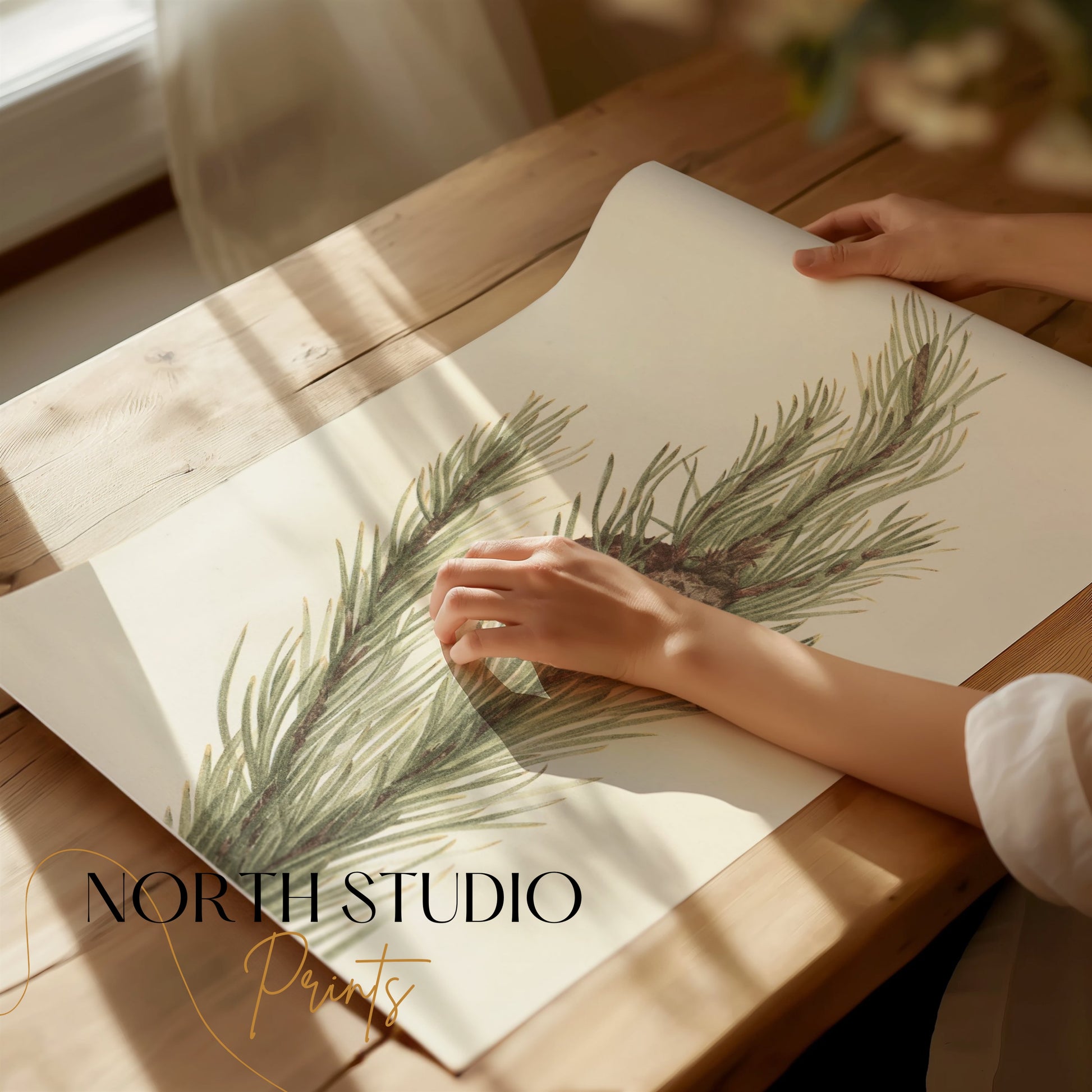Premium Poster of Botanical Pine Tree Wall Art Print Posters
