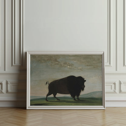 Premium Poster of Buffalo in Landscape Art Print Posters