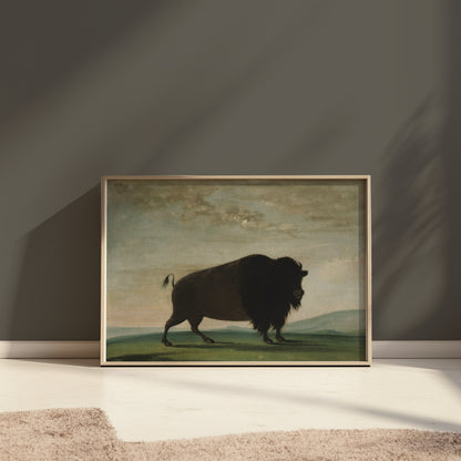 Premium Poster of Buffalo in Landscape Art Print Posters
