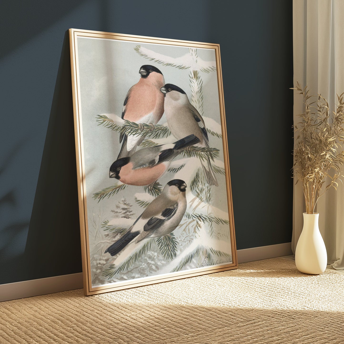Premium Poster of Bullfinch Birds on Snowy Pine Tree Branch Posters
