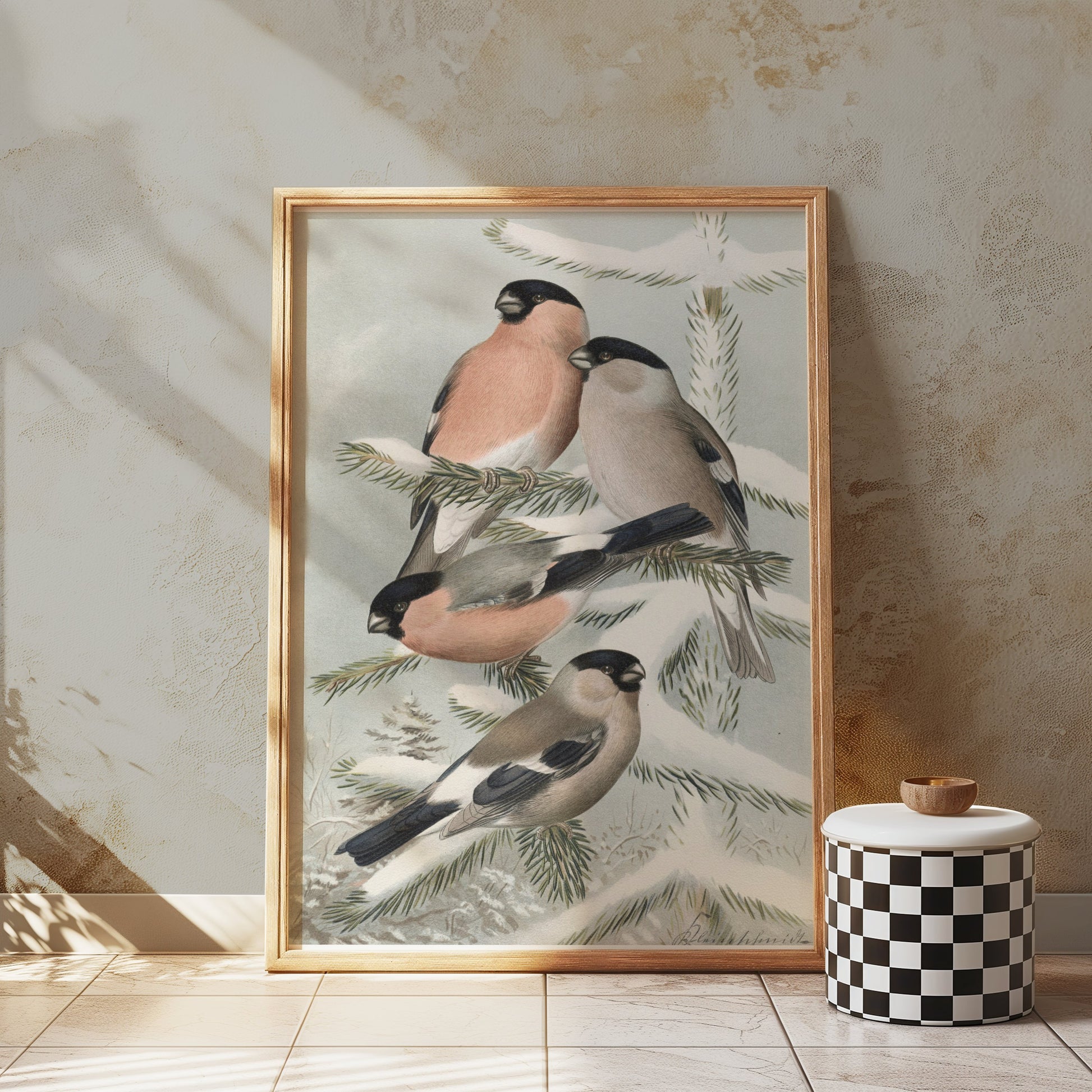 Premium Poster of Bullfinch Birds on Snowy Pine Tree Branch Posters