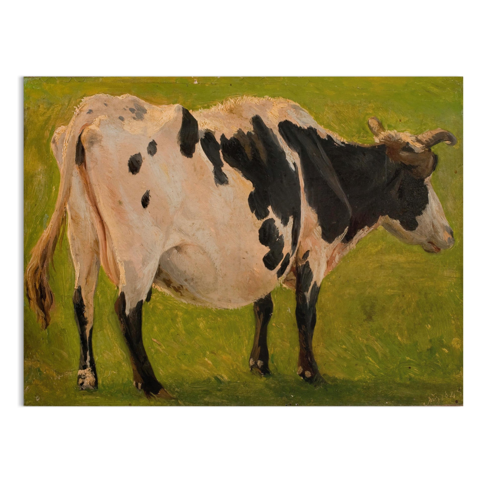 Premium Poster of Captivating Cow Artwork on a Field Painting Posters