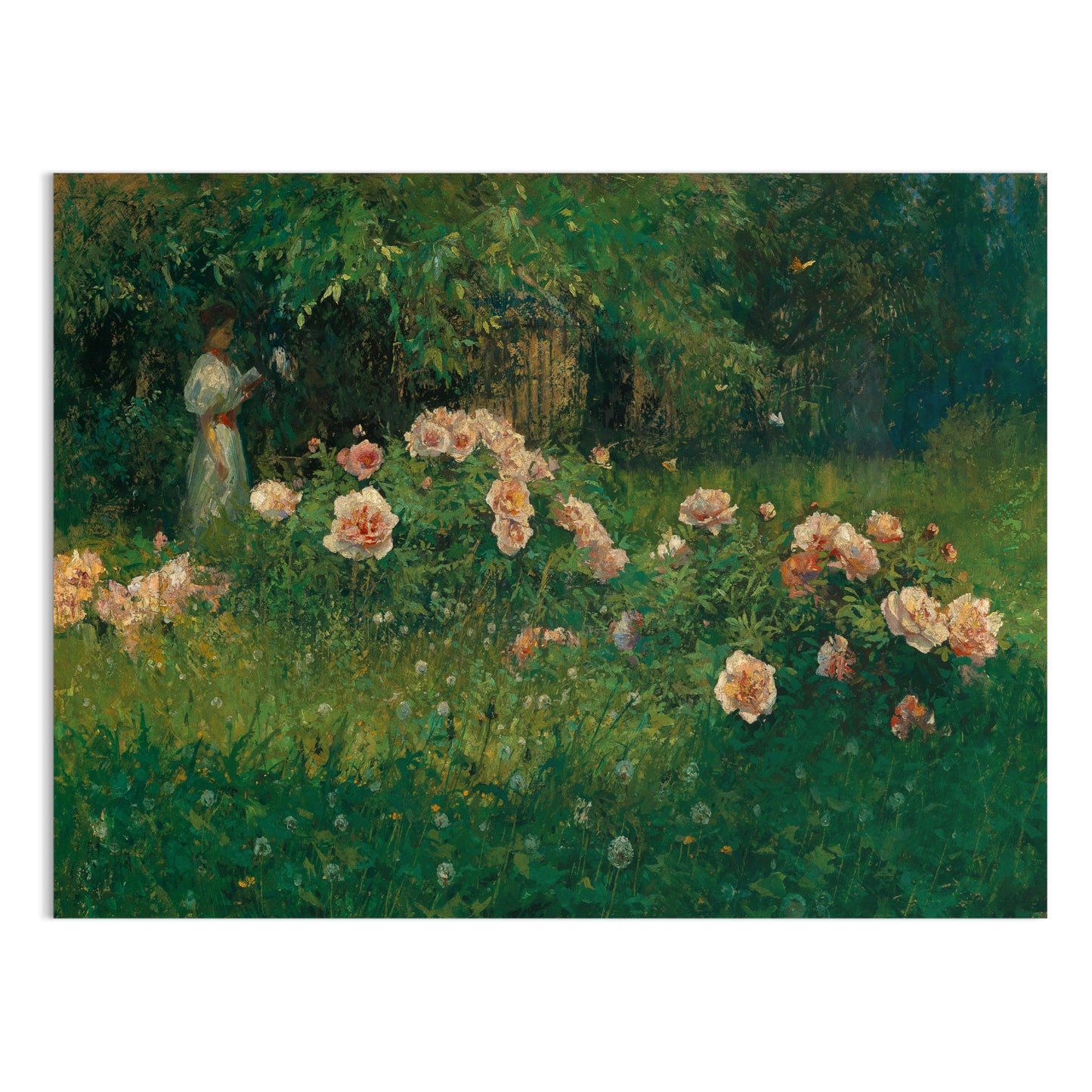 Premium Poster of Captivating Garden Scene With Blossoming Flowers Posters