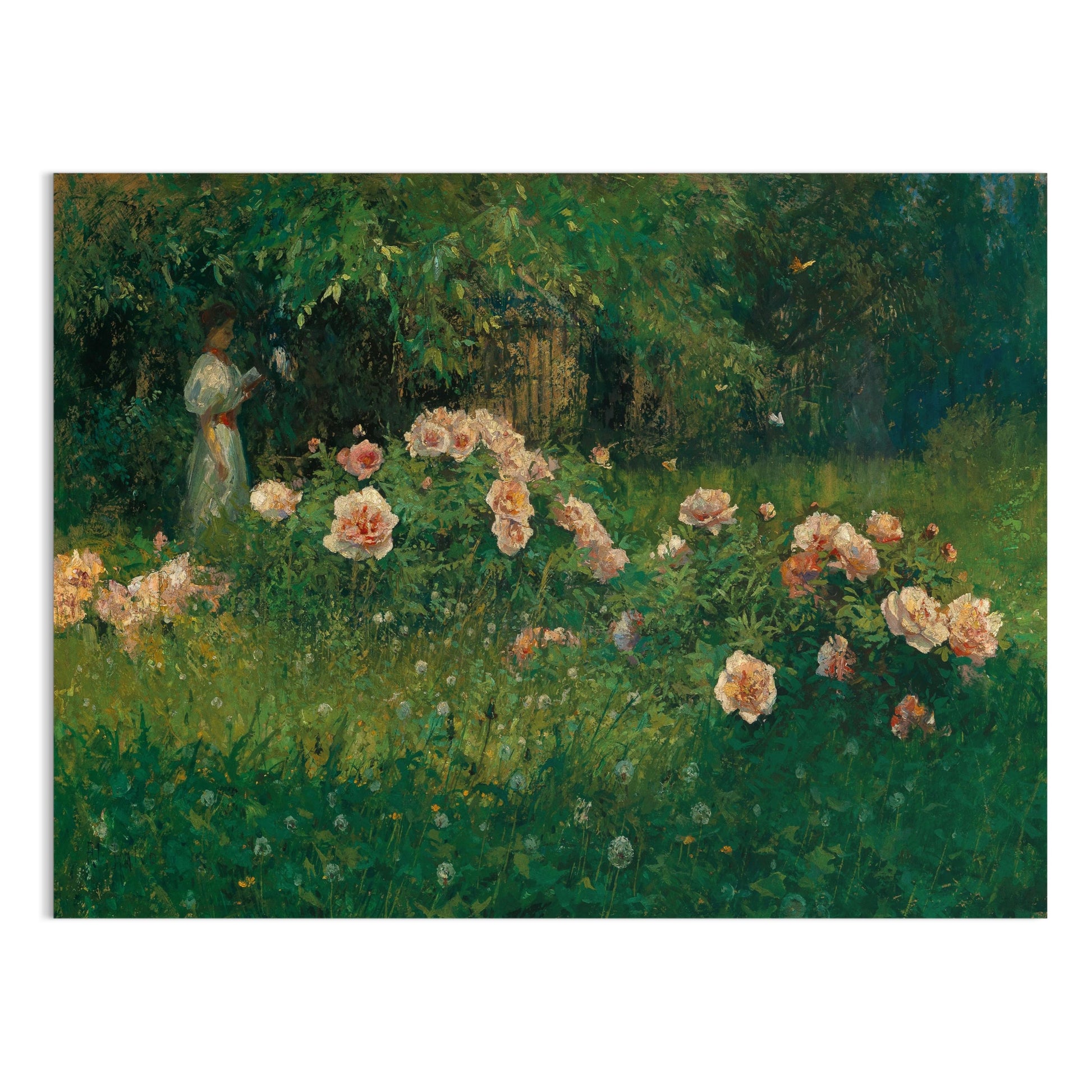 Premium Poster of Captivating Garden Scene With Blossoming Flowers Posters