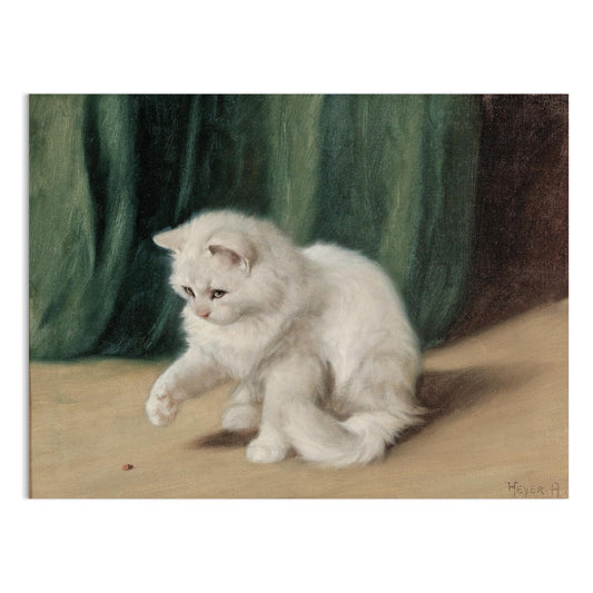 Premium Poster of Charming White Cat Playing with a Ladybird Posters