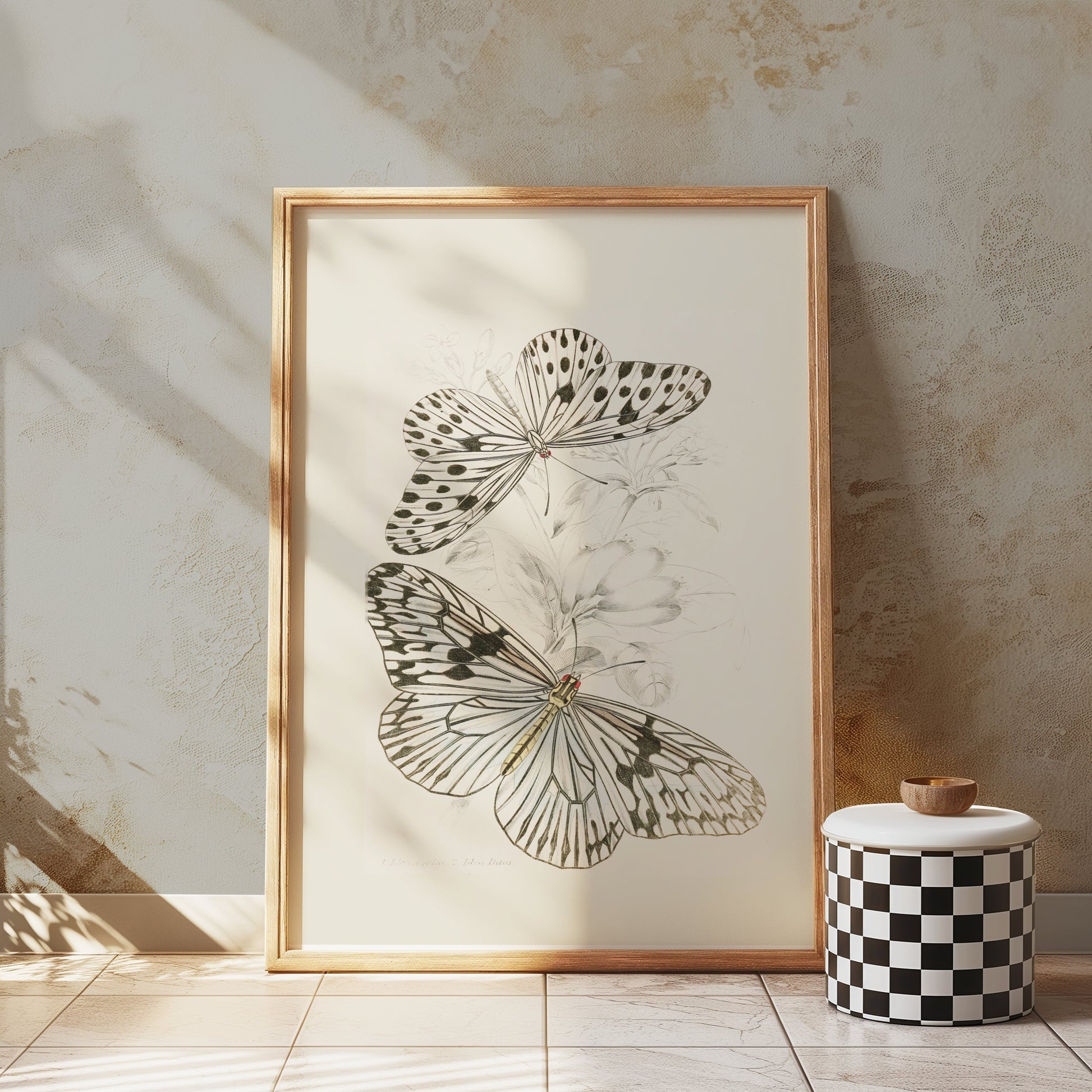 Premium Poster of Classic Botanical Drawing with Two Butterflies Posters