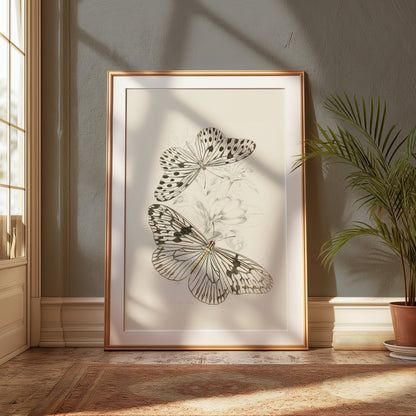 Premium Poster of Classic Botanical Drawing with Two Butterflies Posters