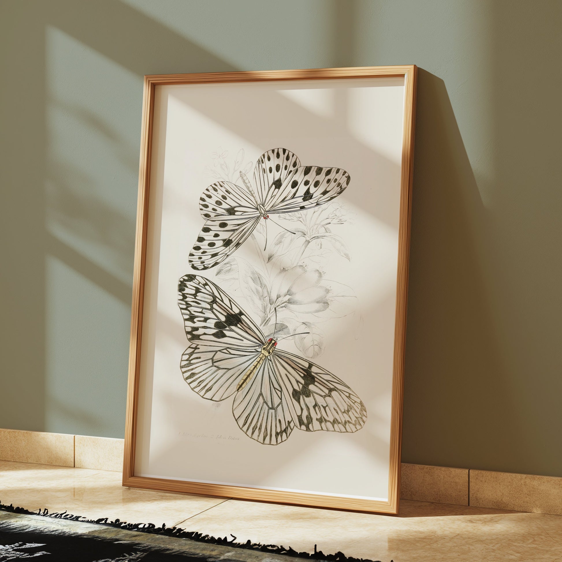 Premium Poster of Classic Botanical Drawing with Two Butterflies Posters