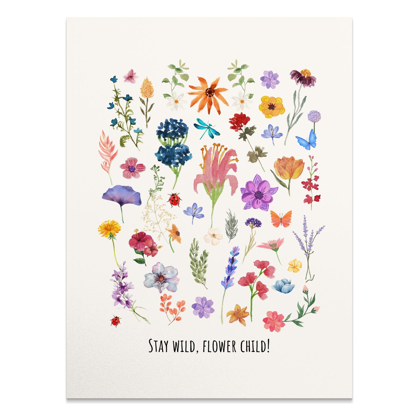 Premium Poster of Collection of Colorful Wildflowers Art Posters