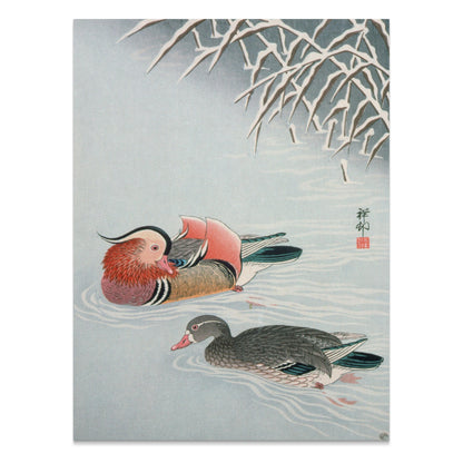 Premium Poster of Colorful Art of Two Ducks Among Snowy Branches Posters