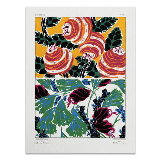 Premium Poster of Colorful Artistic Botanical Illustrations Posters