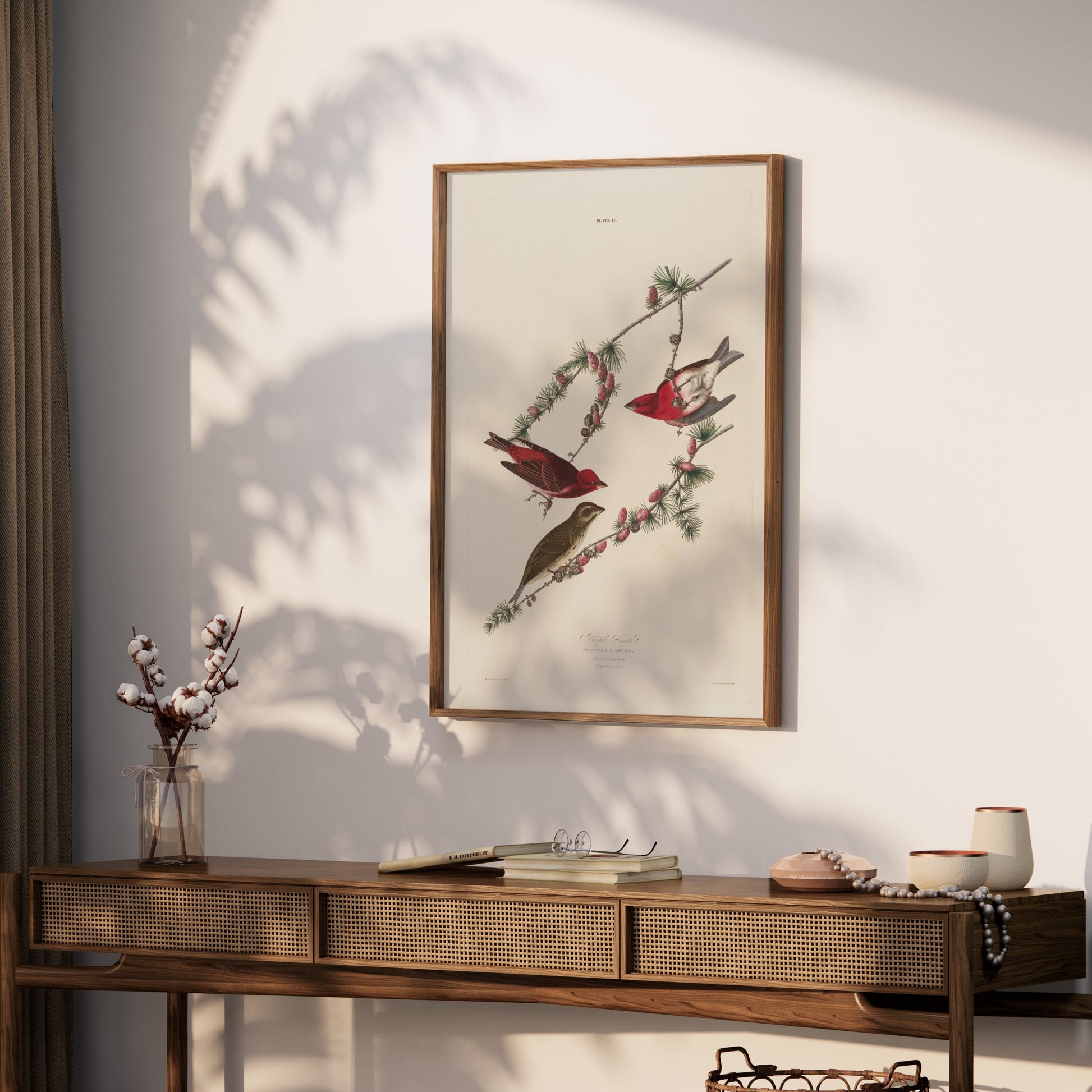 Premium Poster of Colorful Bird Illustration Art Print Posters