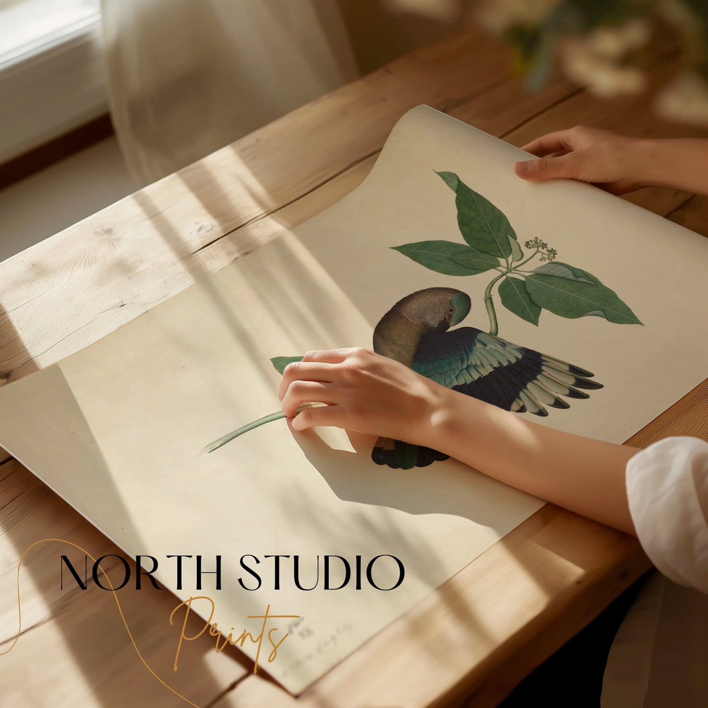 Premium Poster of Colorful Bird with Green Leaves Botanical Posters