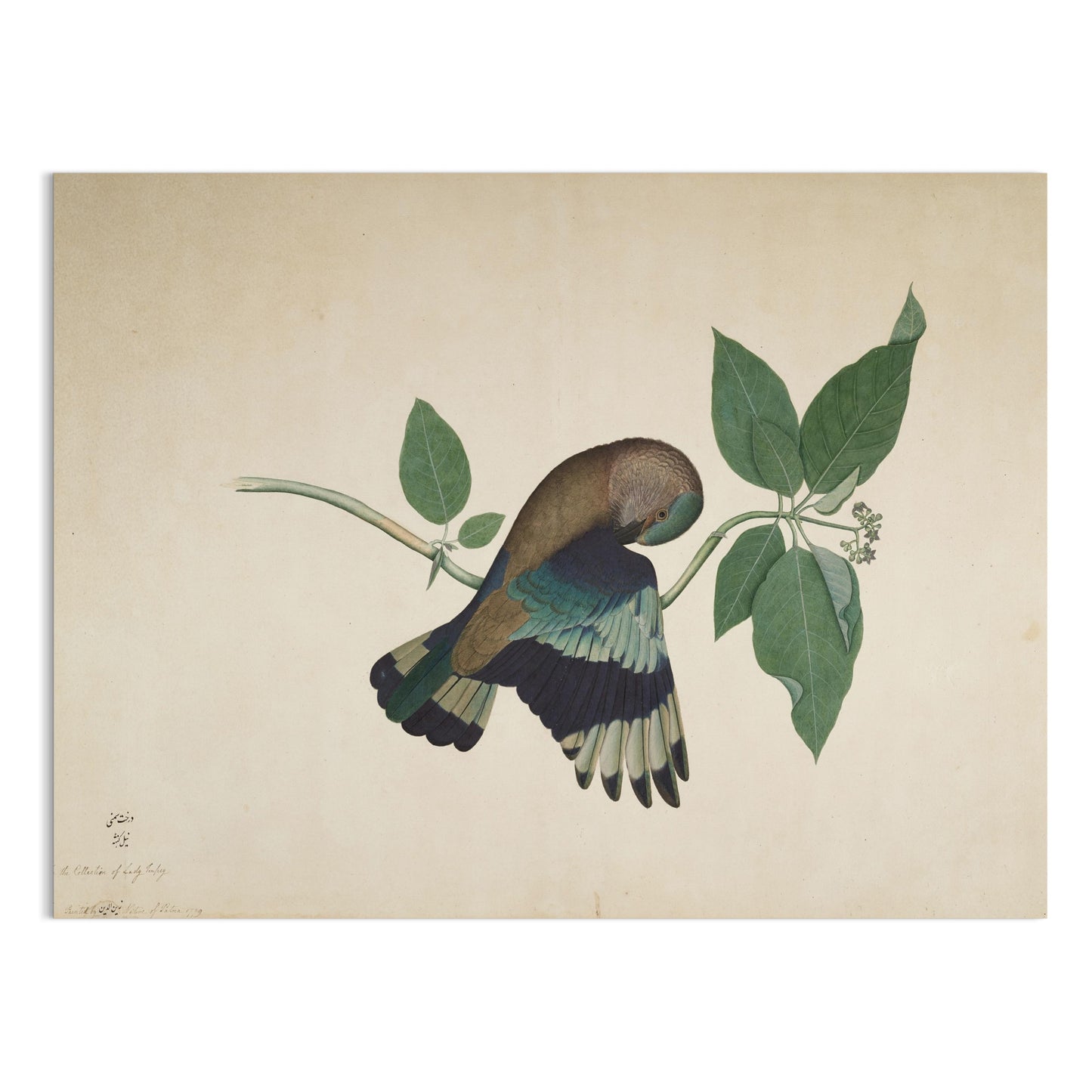 Premium Poster of Colorful Bird with Green Leaves Botanical Posters