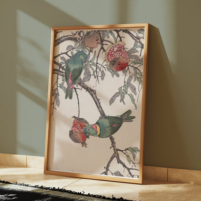 Premium Poster of Colorful Birds on Tree Branch with Pomegranates Posters