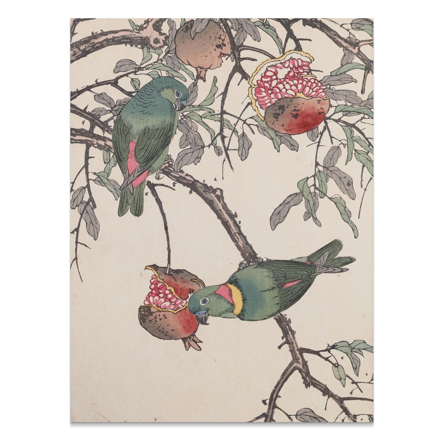 Premium Poster of Colorful Birds on Tree Branch with Pomegranates Posters