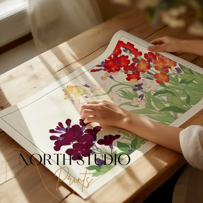 Premium Poster of Colorful Botanical Art of Wallflowers Illustration Posters