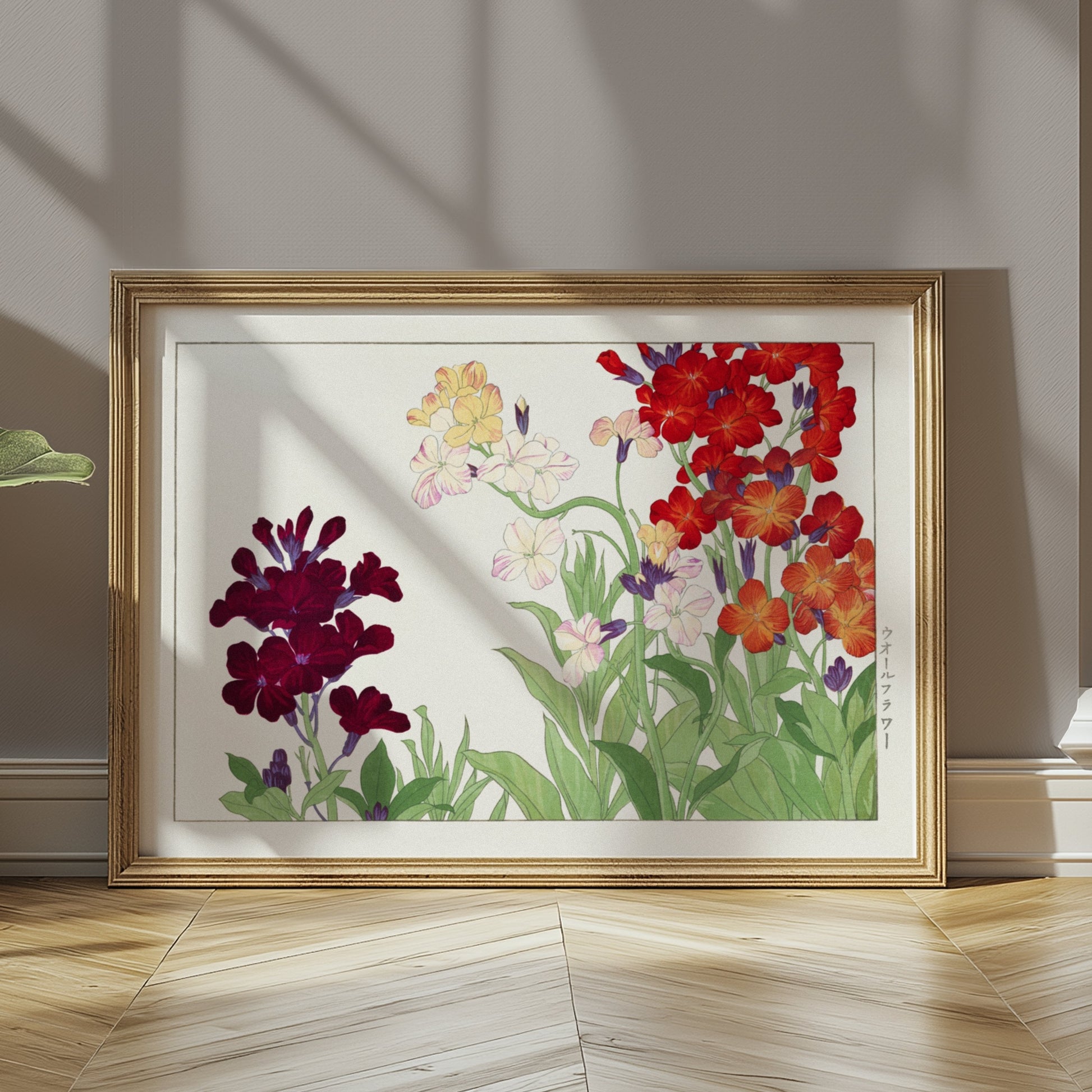 Premium Poster of Colorful Botanical Art of Wallflowers Illustration Posters