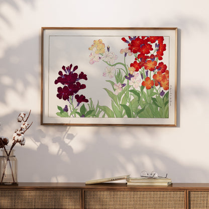 Premium Poster of Colorful Botanical Art of Wallflowers Illustration Posters