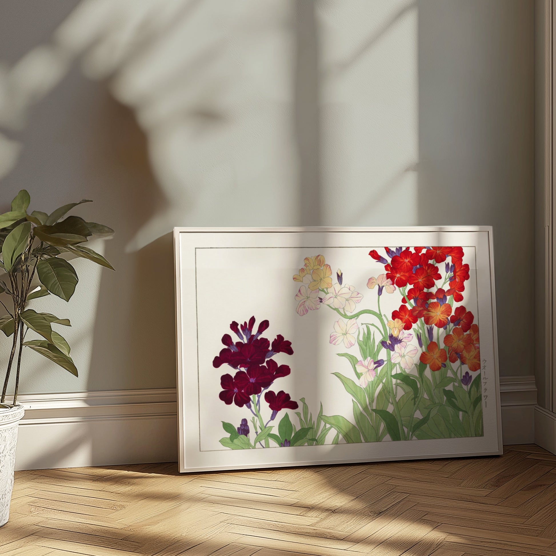 Premium Poster of Colorful Botanical Art of Wallflowers Illustration Posters