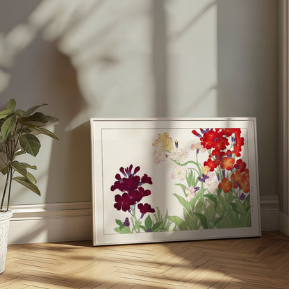 Premium Poster of Colorful Botanical Art of Wallflowers Illustration Posters