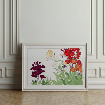 Premium Poster of Colorful Botanical Art of Wallflowers Illustration Posters