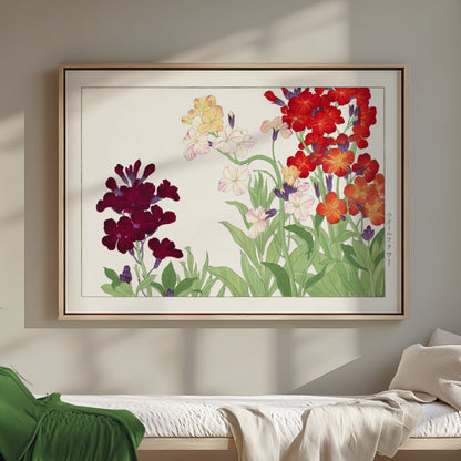 Premium Poster of Colorful Botanical Art of Wallflowers Illustration Posters
