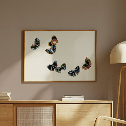 Premium Poster of Colorful Butterfly Design Art Prints Posters