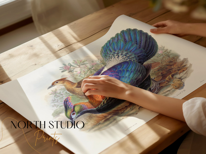 Premium Poster of Colorful Exotic Birds Artwork Illustrative Posters