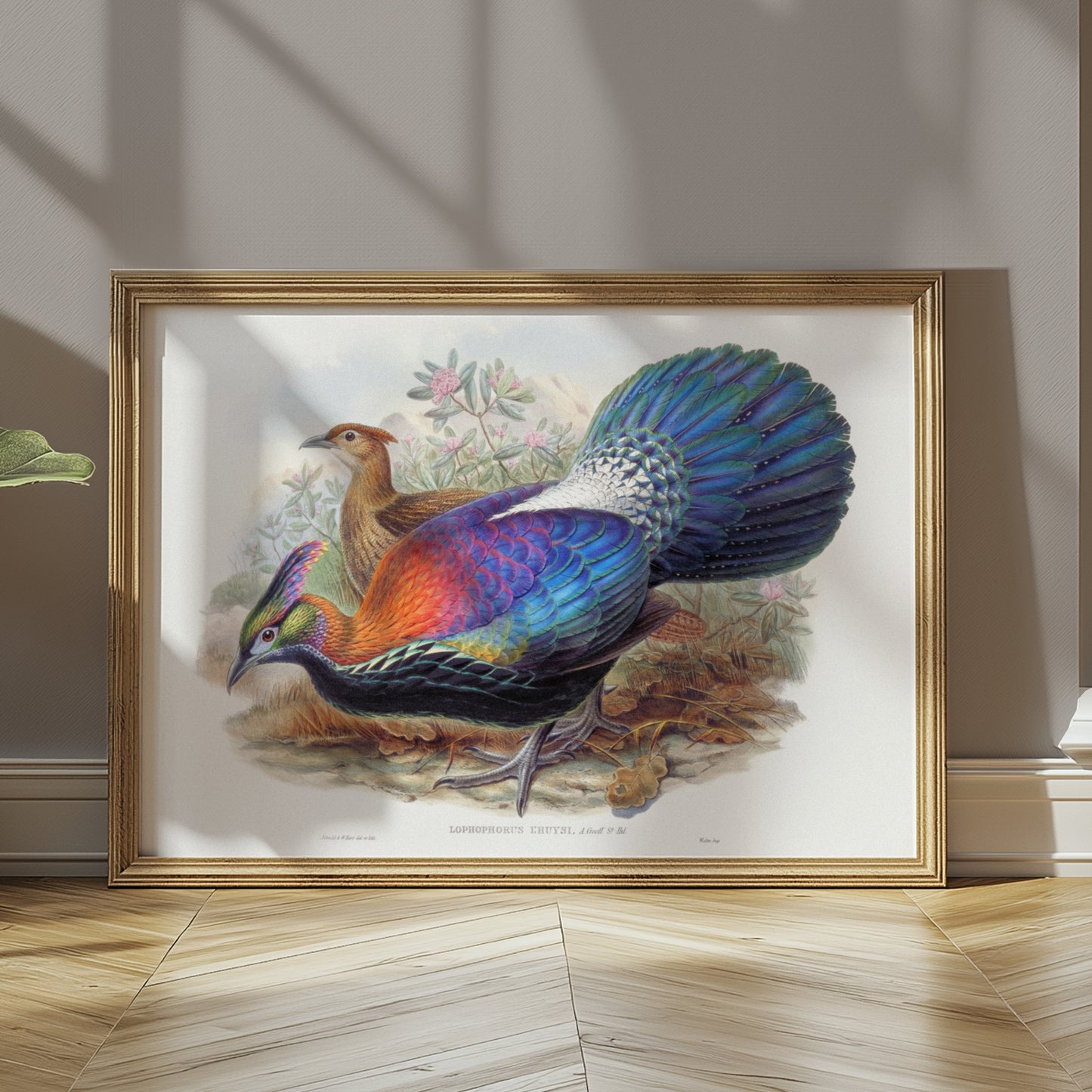 Premium Poster of Colorful Exotic Birds Artwork Illustrative Posters