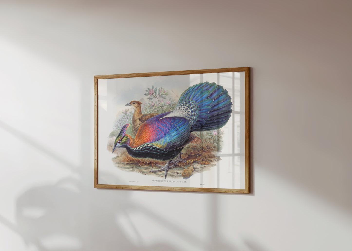 Premium Poster of Colorful Exotic Birds Artwork Illustrative Posters