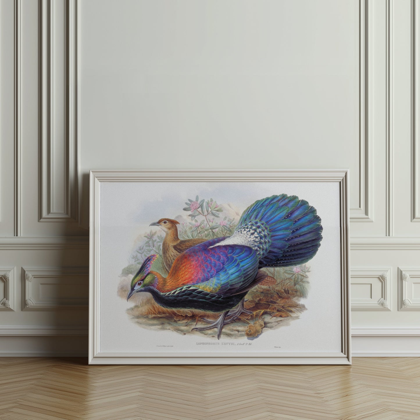 Premium Poster of Colorful Exotic Birds Artwork Illustrative Posters