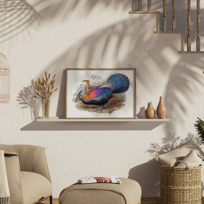 Premium Poster of Colorful Exotic Birds Artwork Illustrative Posters