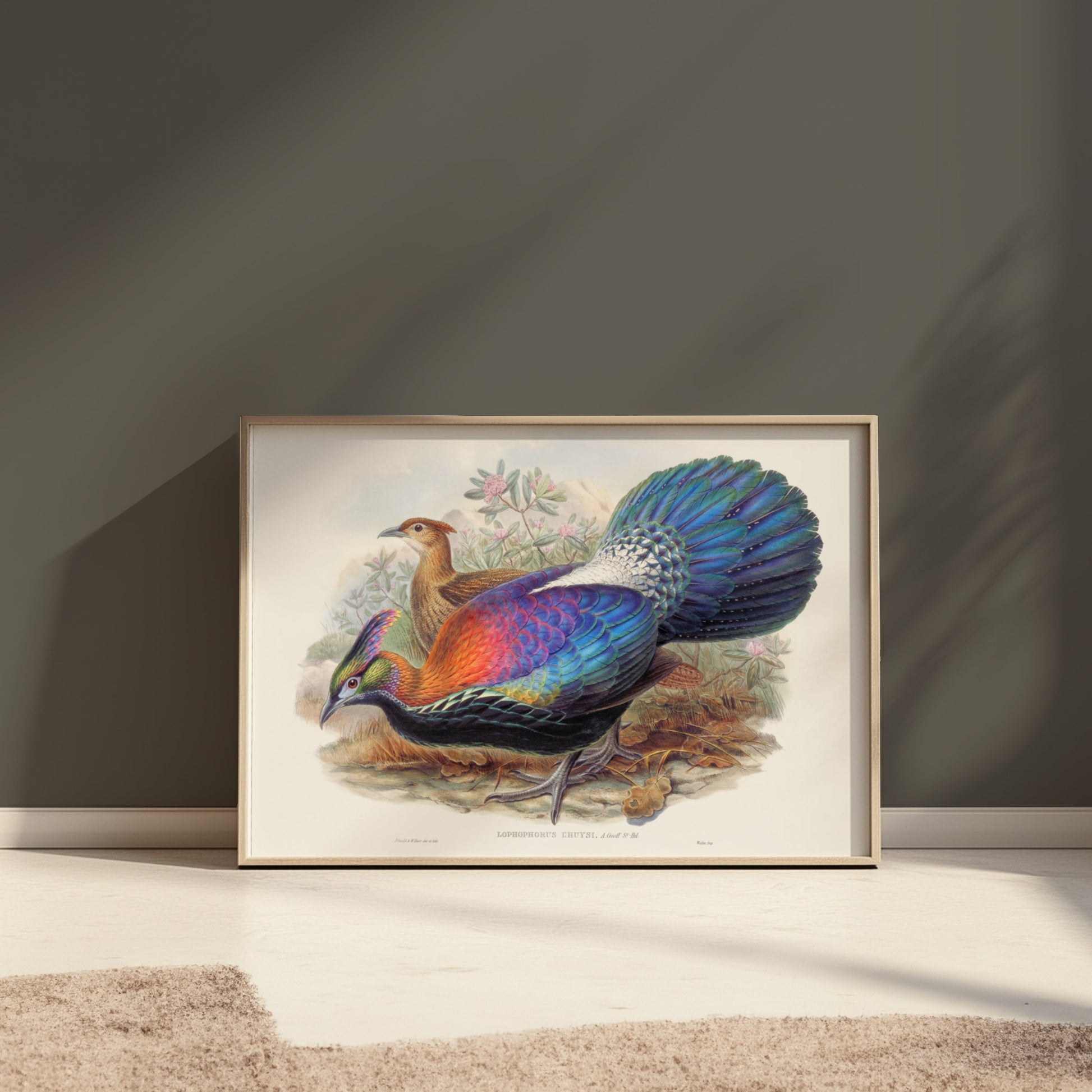Premium Poster of Colorful Exotic Birds Artwork Illustrative Posters
