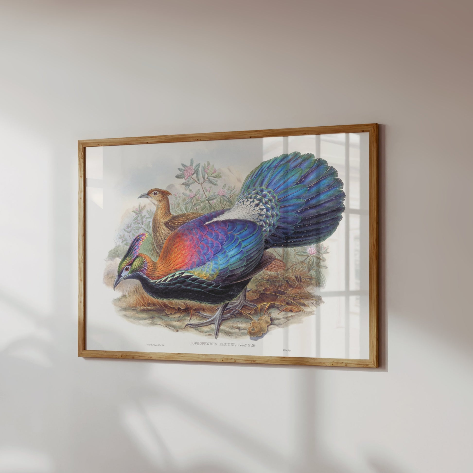 Premium Poster of Colorful Exotic Birds Artwork Illustrative Posters