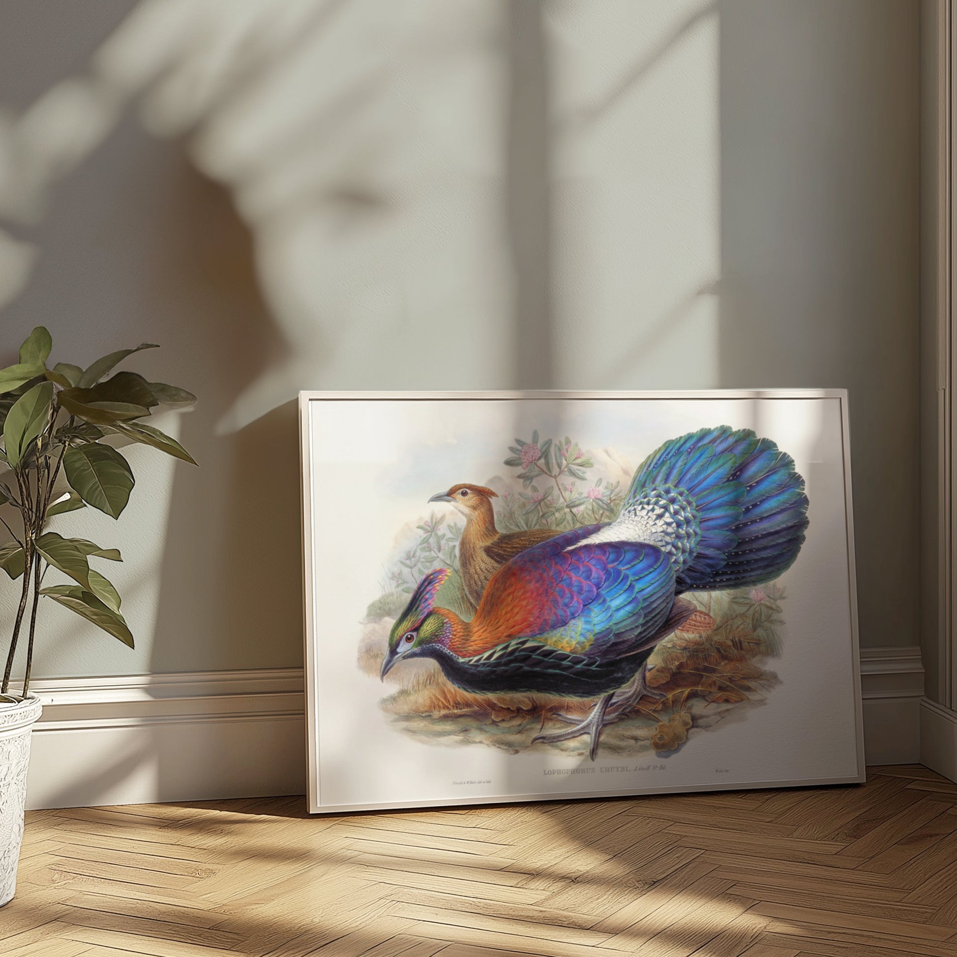 Premium Poster of Colorful Exotic Birds Artwork Illustrative Posters