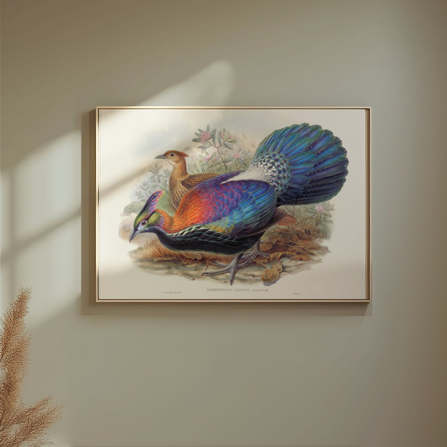 Premium Poster of Colorful Exotic Birds Artwork Illustrative Posters