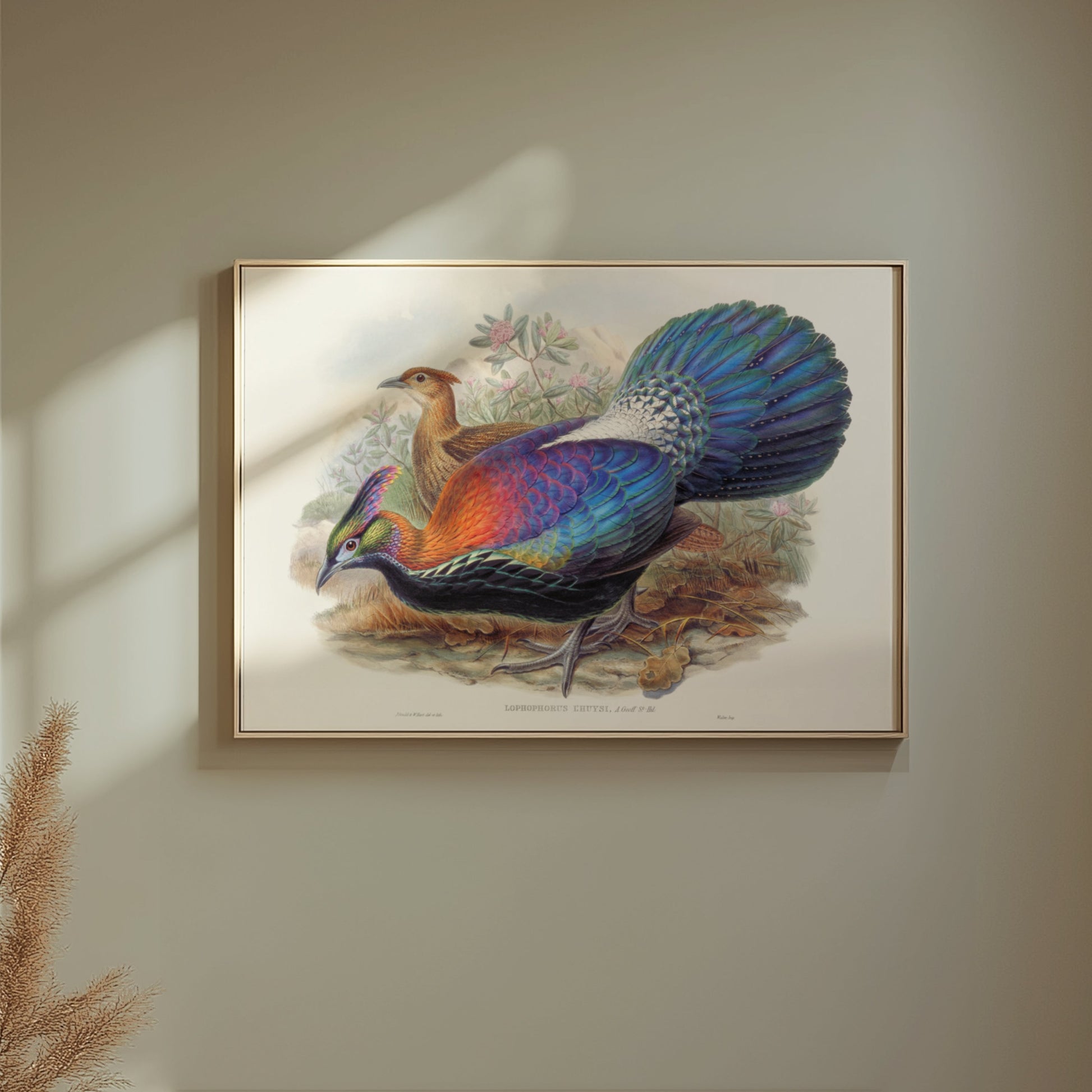 Premium Poster of Colorful Exotic Birds Artwork Illustrative Posters