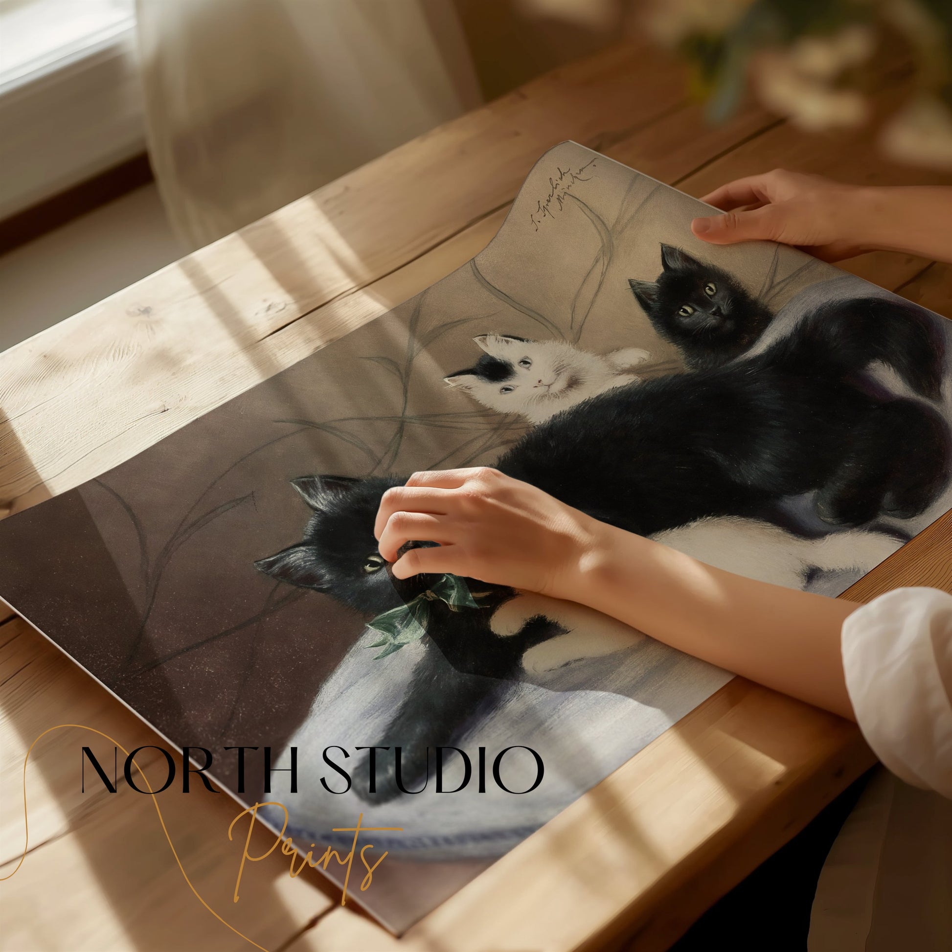 Premium Poster of Cute Family of Cats Relaxing Together Art Print Posters