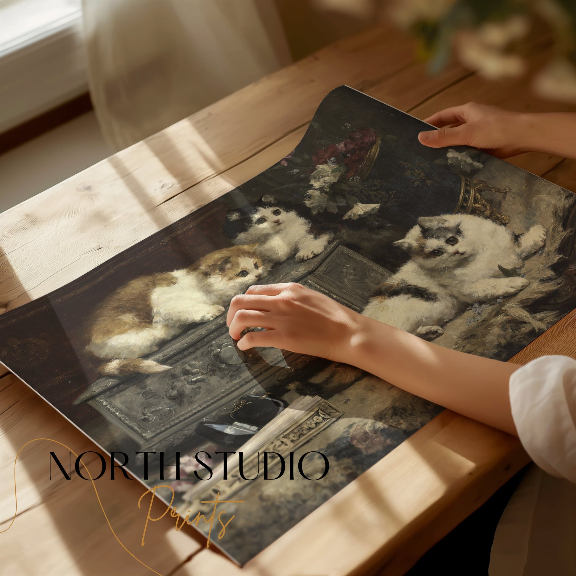 Premium Poster of Cute Kittens Curiously Exploring Decorative Box Posters