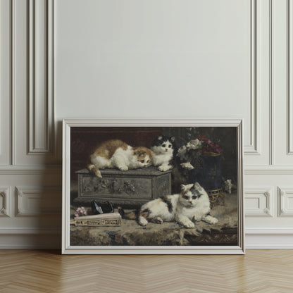 Premium Poster of Cute Kittens Curiously Exploring Decorative Box Posters