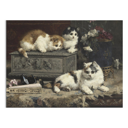 Premium Poster of Cute Kittens Curiously Exploring Decorative Box Posters