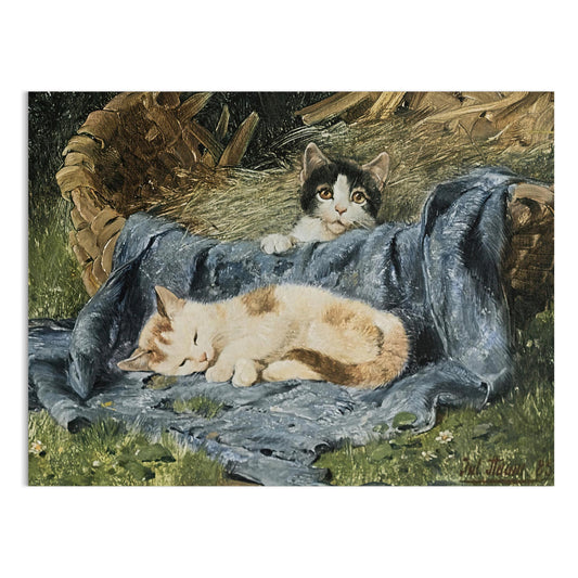 Premium Poster of Cute Kittens Relaxing in a Basket Posters