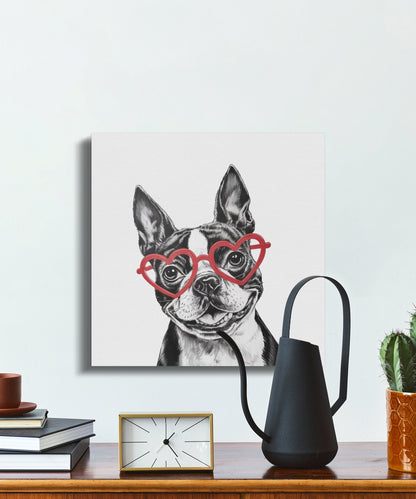Premium Poster of Cute Sketch Boston Terrier With Red Heart Glasses Canvas Wraps