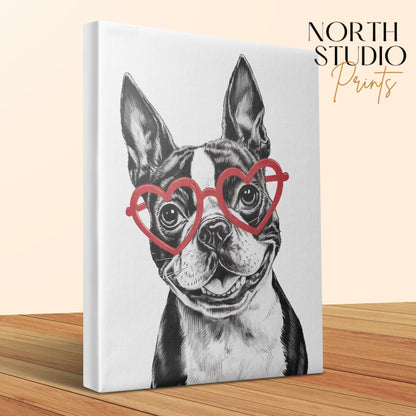Premium Poster of Cute Sketch Boston Terrier With Red Heart Glasses Canvas Wraps