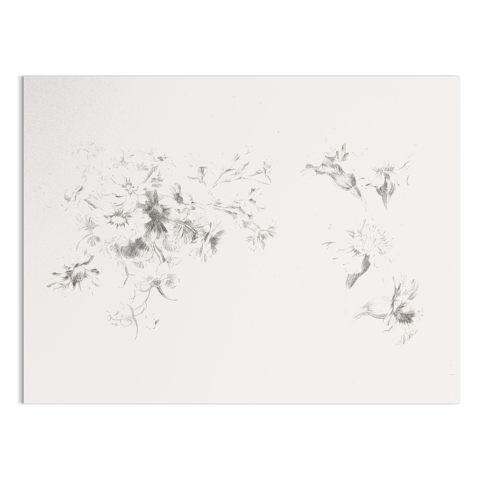 Premium Poster of Delicate Floral Sketch Art Print Minimalist Posters