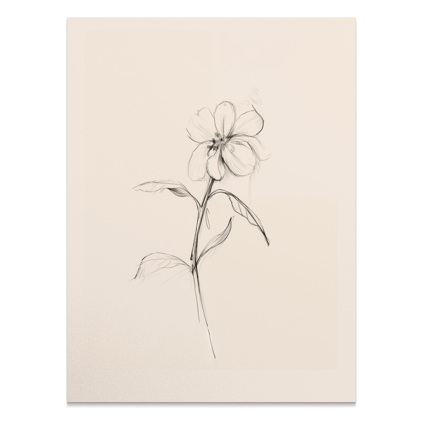 Premium Poster of Delicate Floral Sketch Line Art Minimalist Flower Posters