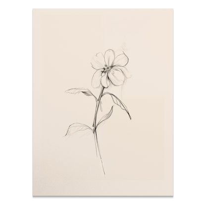 Premium Poster of Delicate Floral Sketch Line Art Minimalist Flower Posters