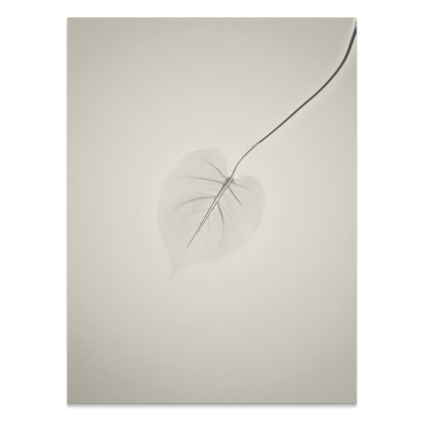 Premium Poster of Delicate Leaf with Abstract Background Art Posters